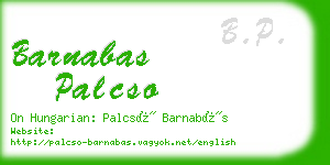 barnabas palcso business card